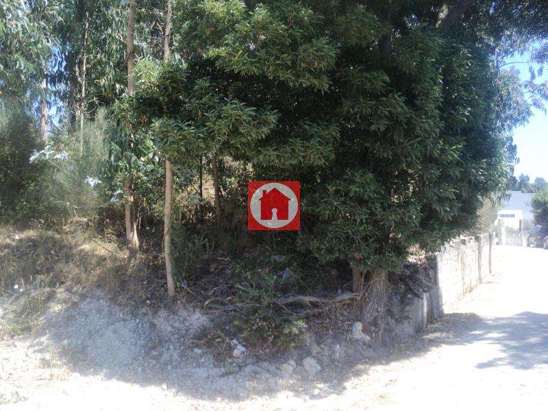 Oportunidade de Investimento: Terreno Industrial de 9.900m2 em Zona... - Grande imagem: 2/5