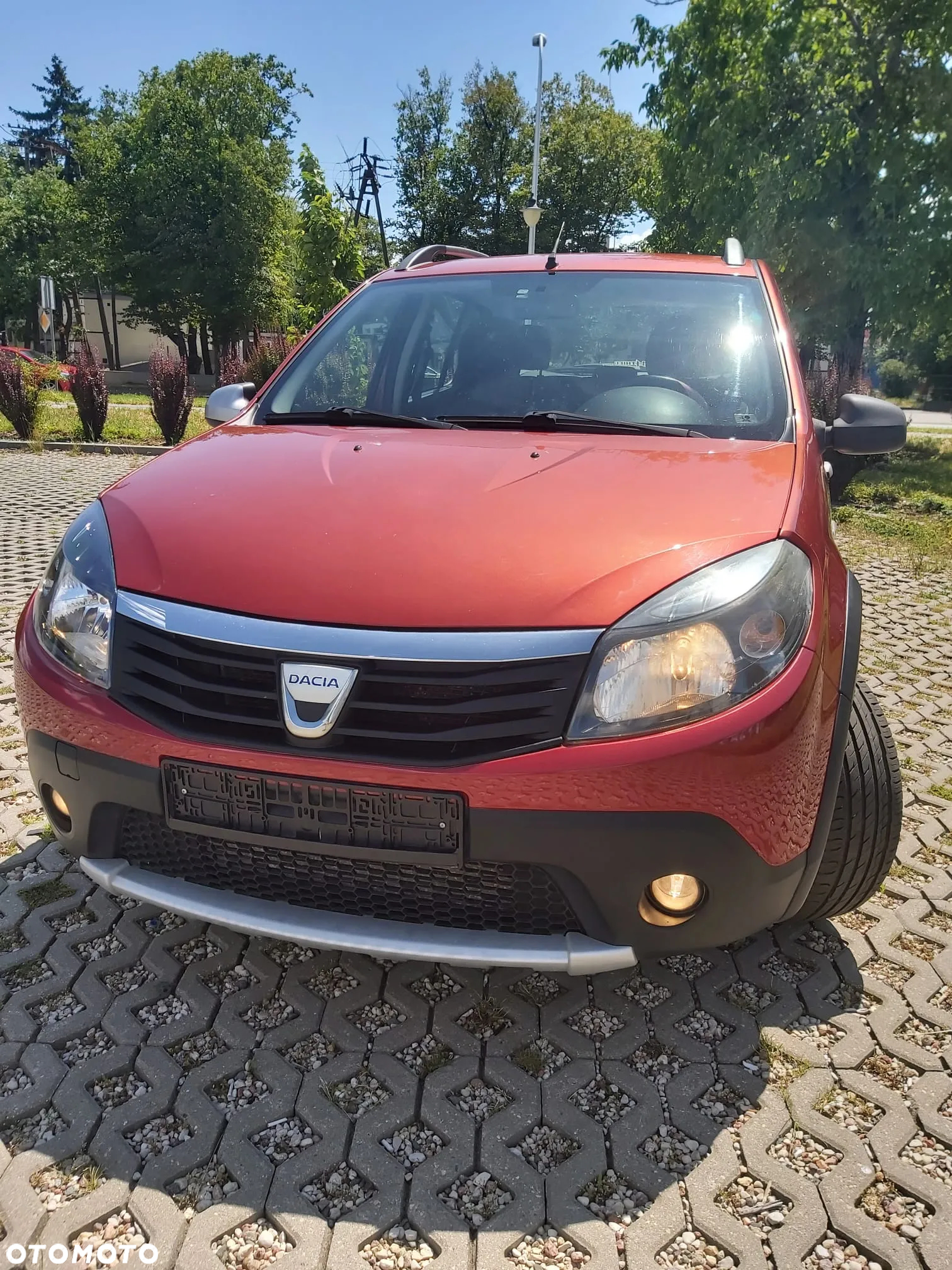 Dacia Sandero Stepway 1.5 dCi - 19