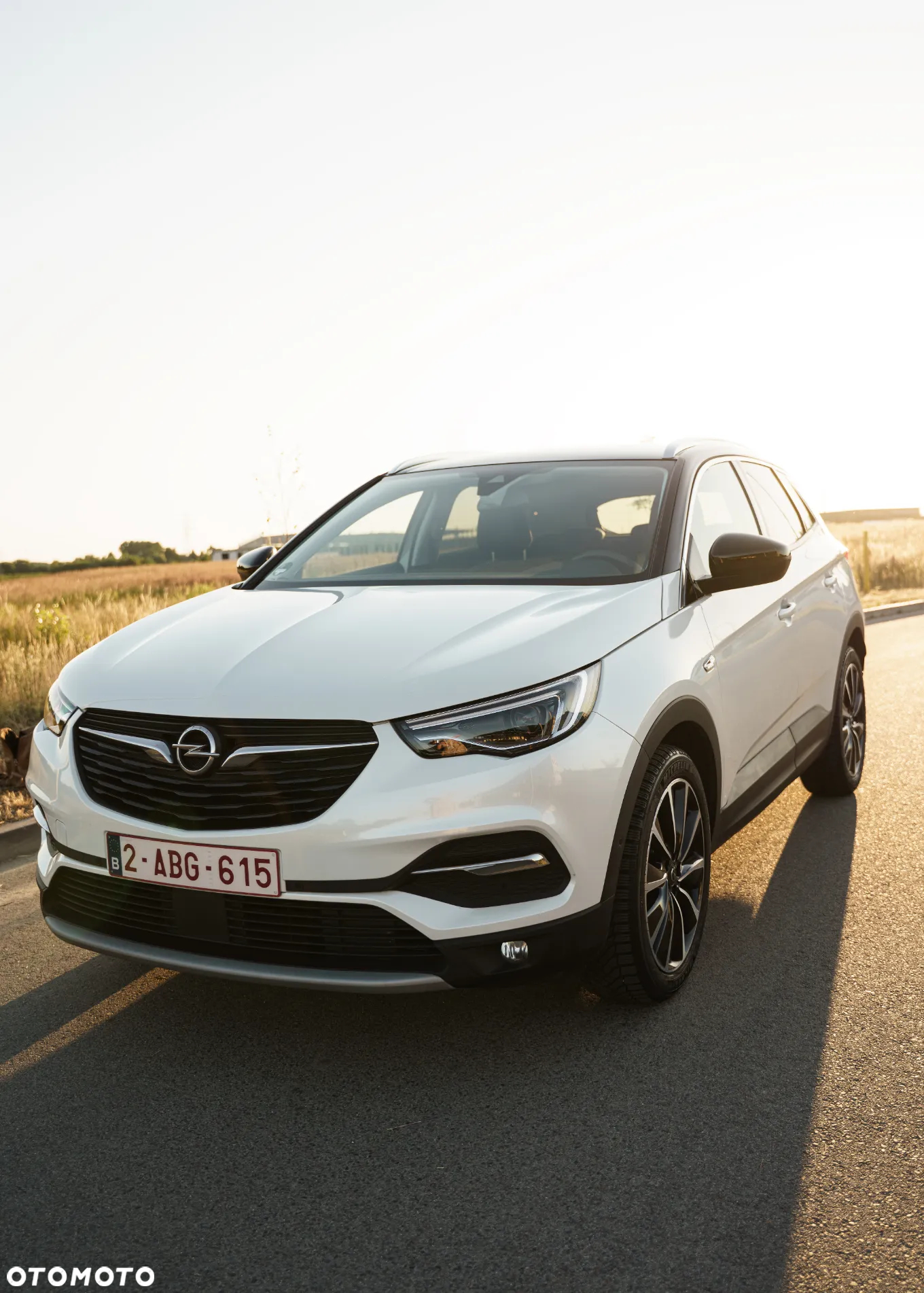 Opel Grandland X 1.5 CDTI Ultimate S&S - 7