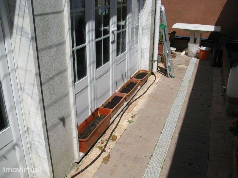 Venda mini quinta Mafra - Grande imagem: 2/6
