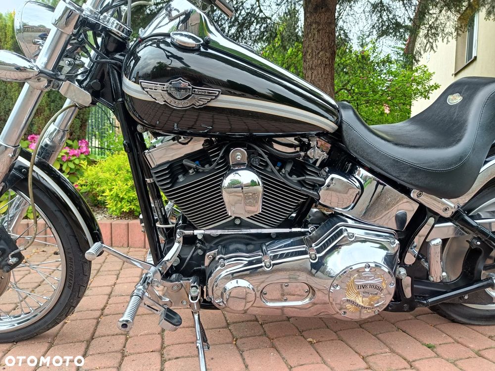 Harley-Davidson Softail - 4