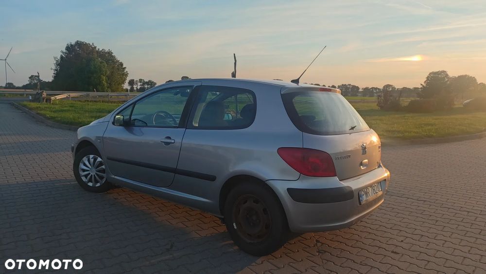 Peugeot 307 - 5
