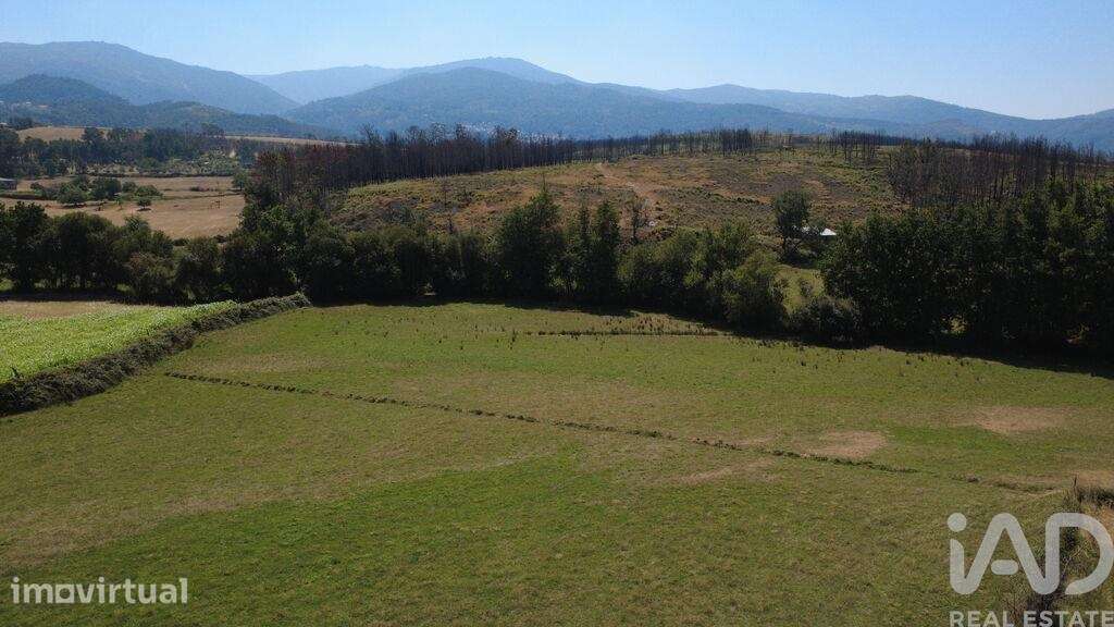 Terreno Agrícola em Seia, São Romão e Lapa dos Dinheiros - Grande imagem: 4/7