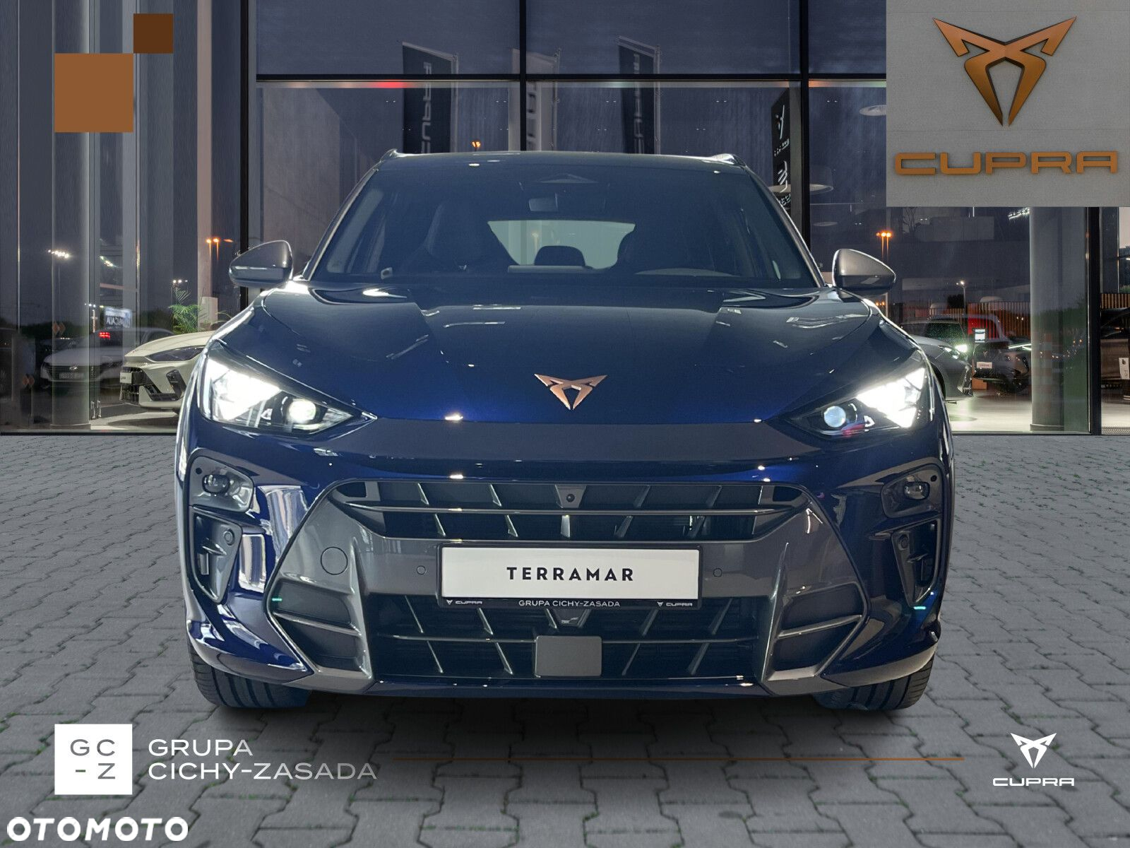 Cupra Terramar - 8