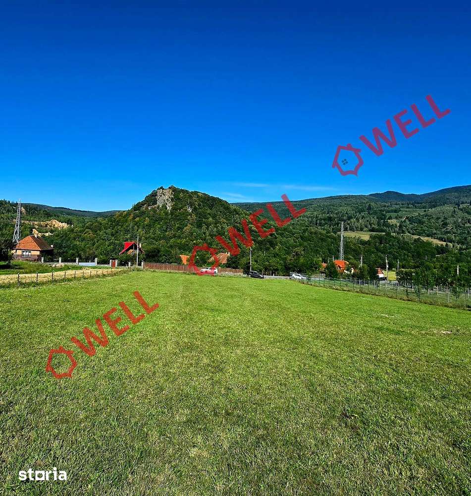De vânzare teren de 2.782 mp în loc. Bixad - Imagine principală: 3/4