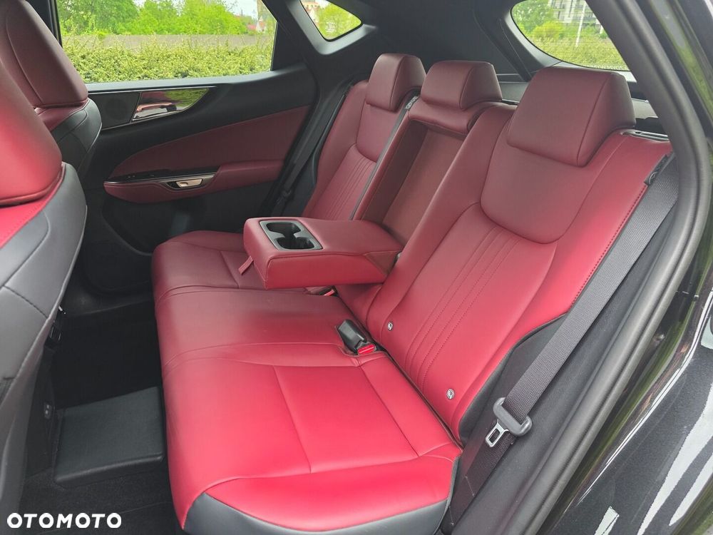 Lexus NX - 19