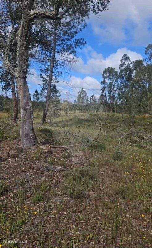 Terreno  para venda - Grande imagem: 2/7
