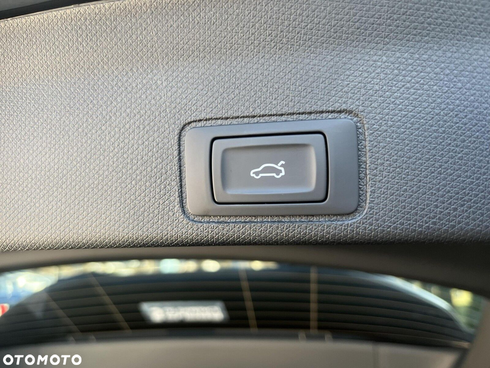 Cupra Terramar - 26
