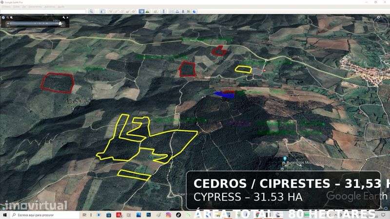 Grande Propriedade Florestal – 80 Hectares – Urros / Torre de Moncorvo - Grande imagem: 2/2