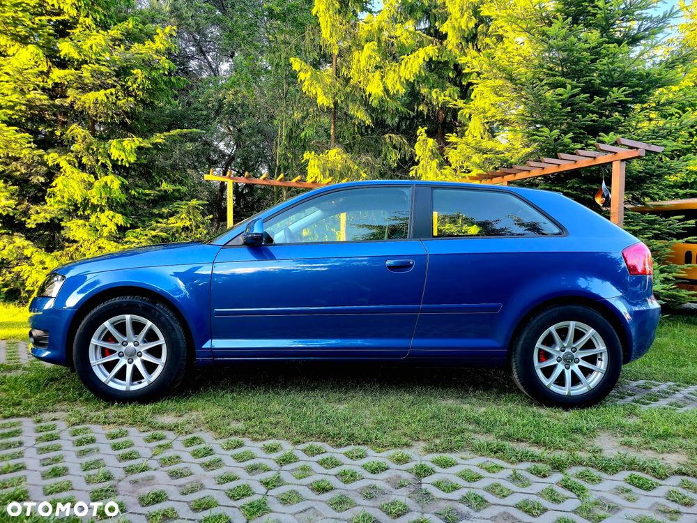 Audi A3 3-drzwiowe 1.6 FSI Ambition - 2