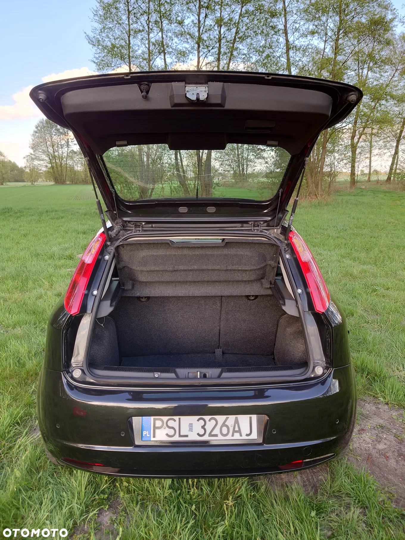 Fiat Grande Punto 1.9 Multijet 8V Sport - 20