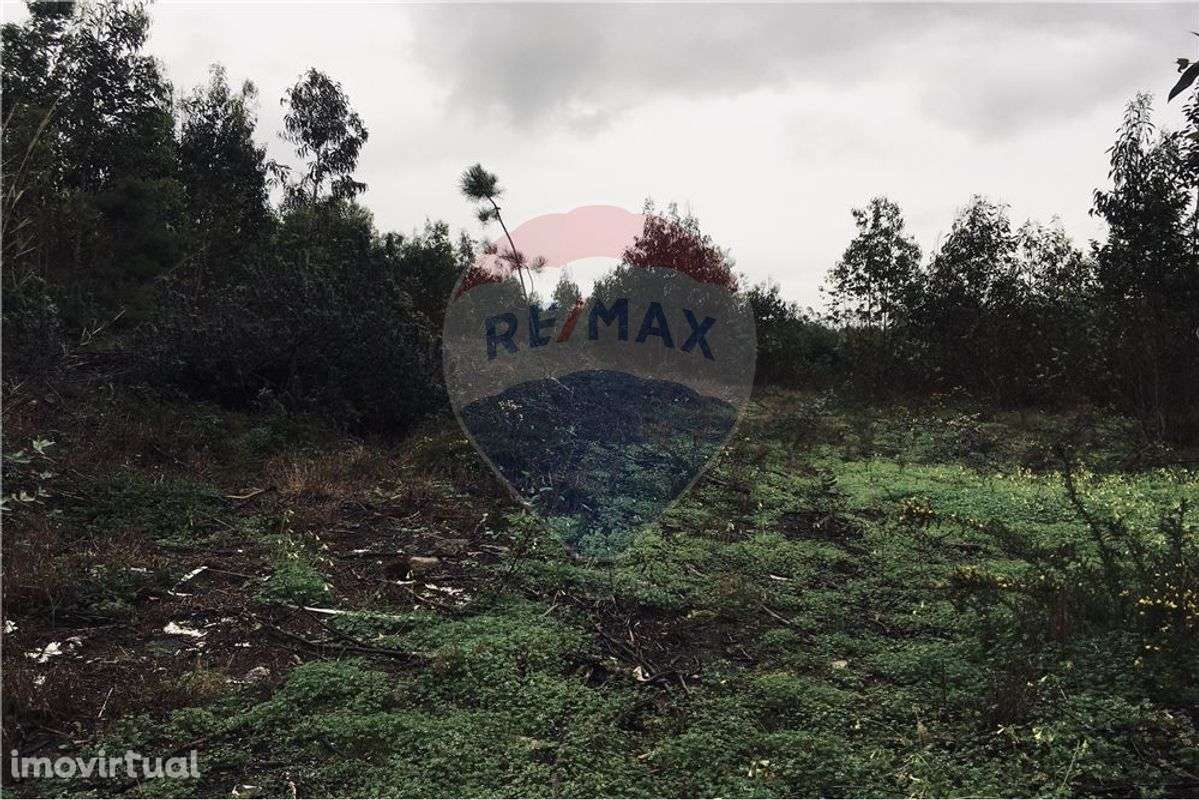 Terreno  para venda - Grande imagem: 4/5