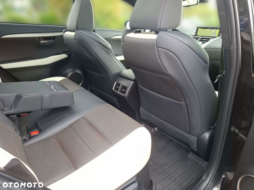 Lexus NX 300 GPF F Sport AWD - 21