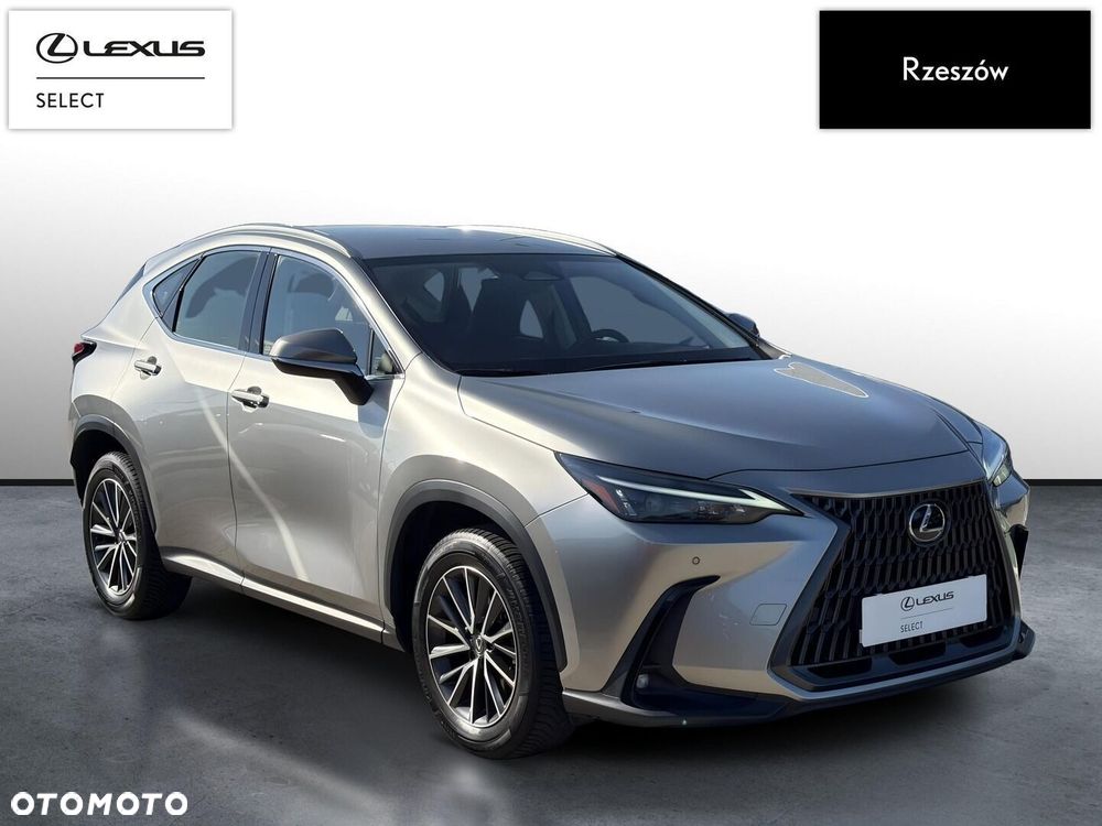 Lexus NX 350h Elegance 2WD - 7