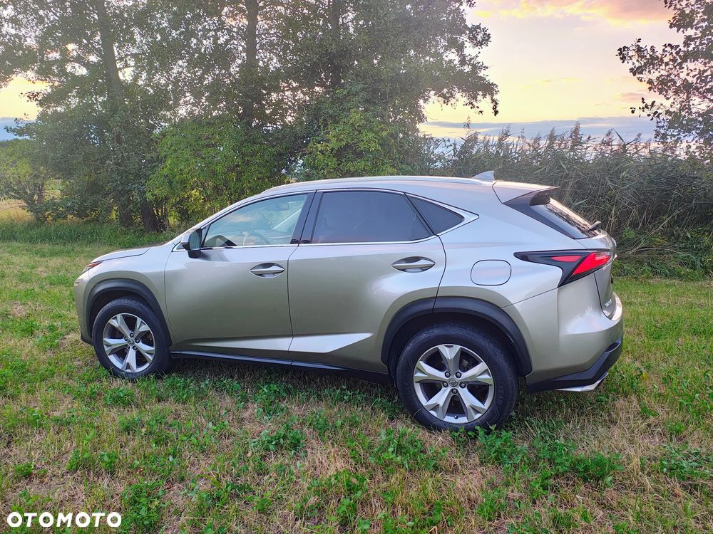Lexus NX - 5