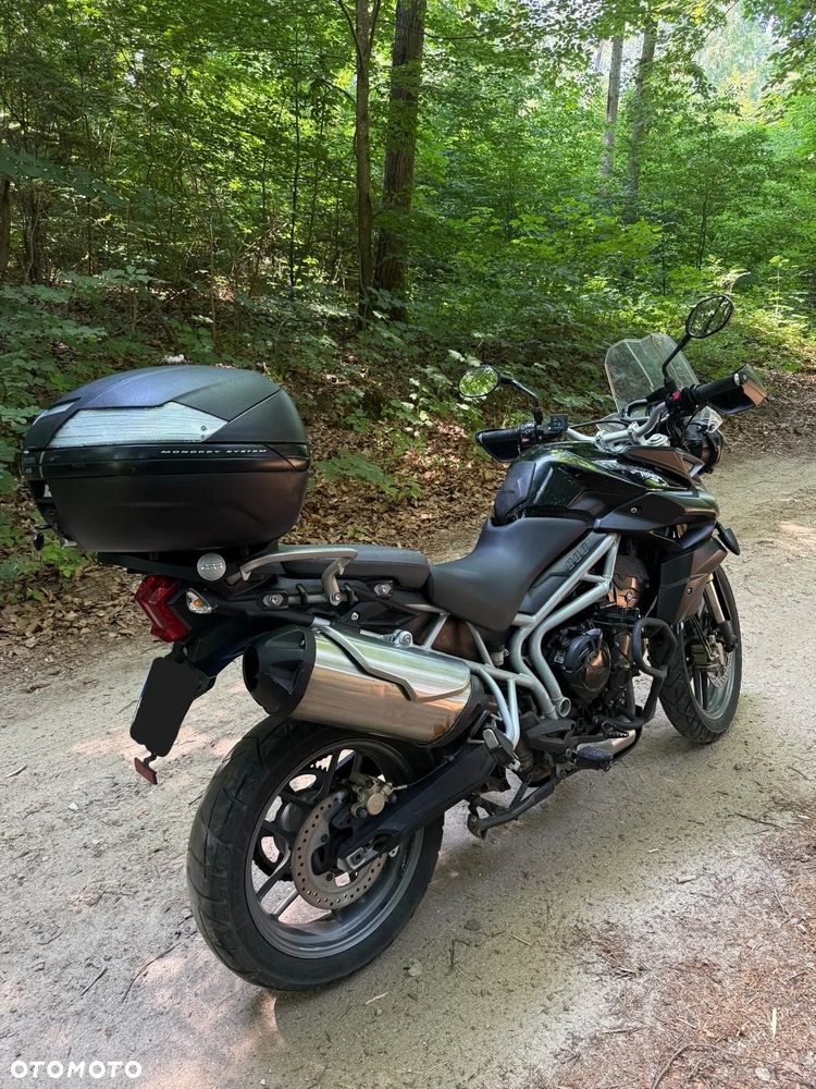 Triumph Tiger - 6