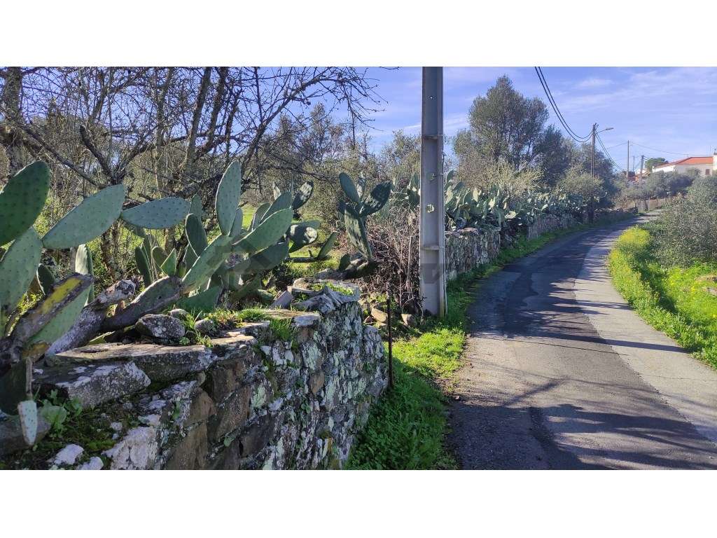 Terreno rústico de 0,65Ha localizado dentro da localidade da Dogueno - Grande imagem: 2/10