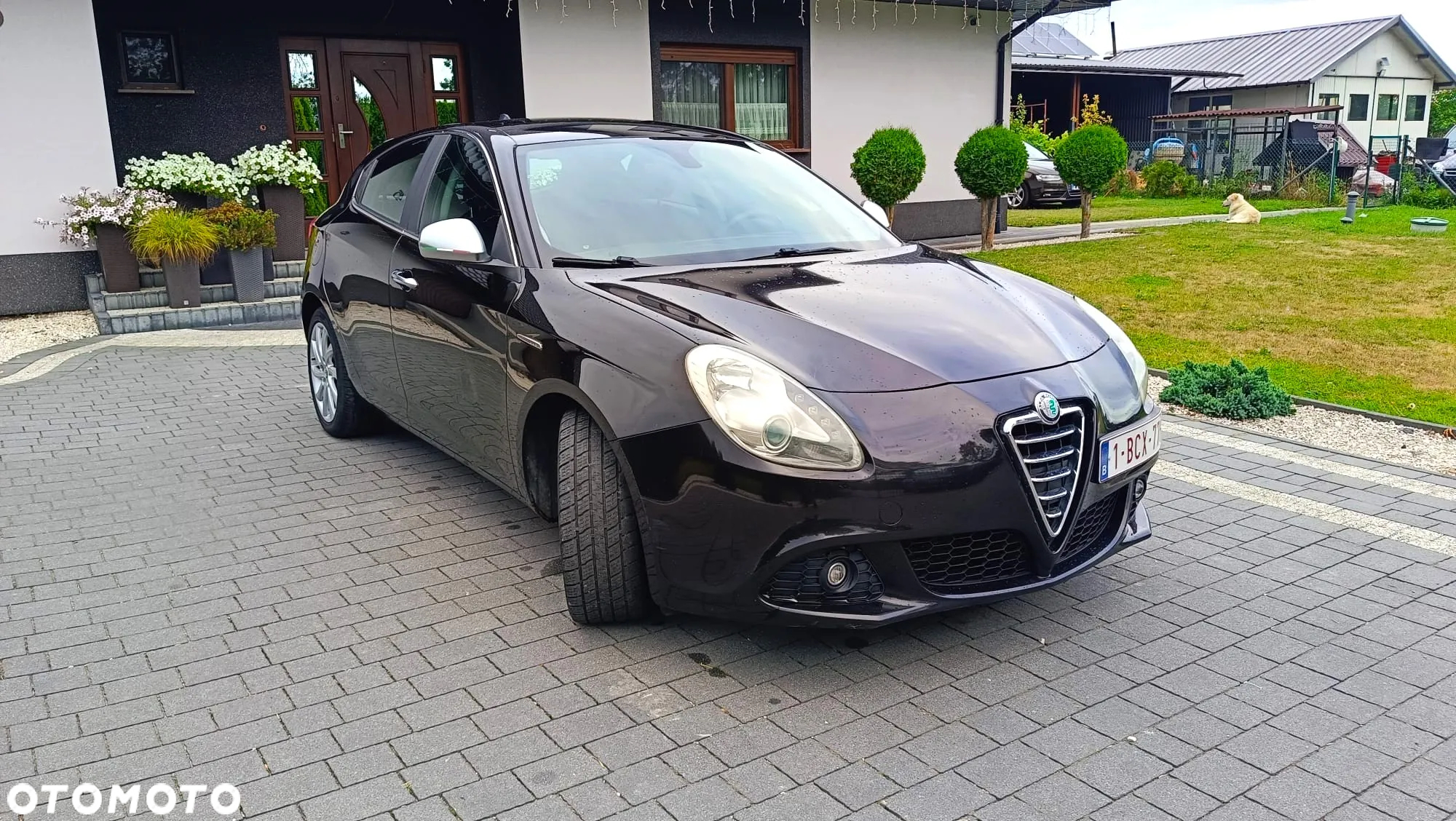 Alfa Romeo Giulietta - 2