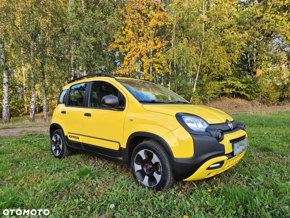 Fiat Panda - 5