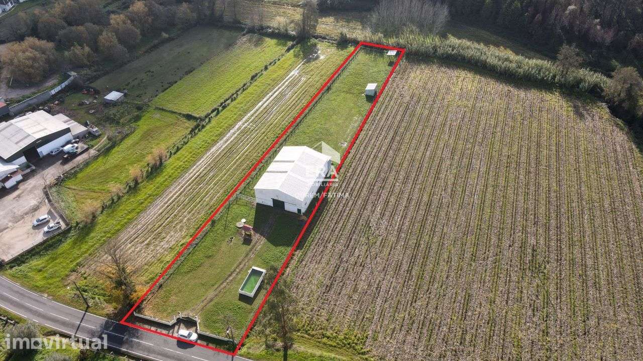 Armazém localizado no Olival, Ourém! - Grande imagem: 2/14