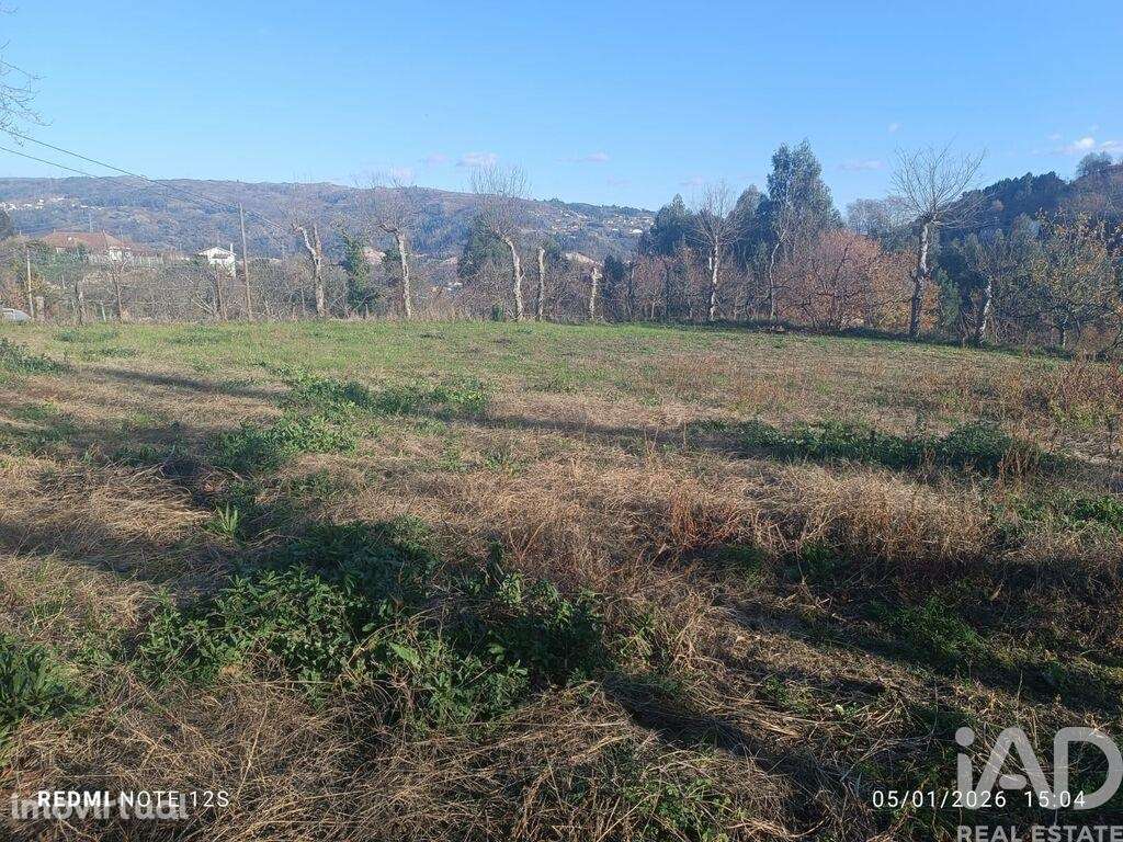 Terreno Agrícola em Paredes de Viadores e Manhuncelos - Grande imagem: 2/4
