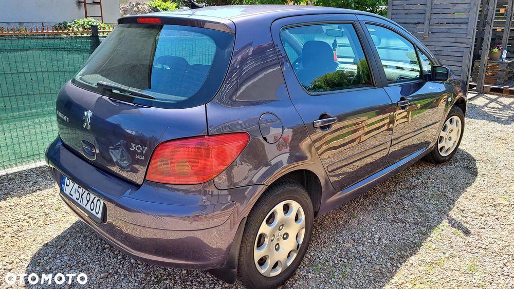 Peugeot 307 HDi 90 Grand Filou - 2