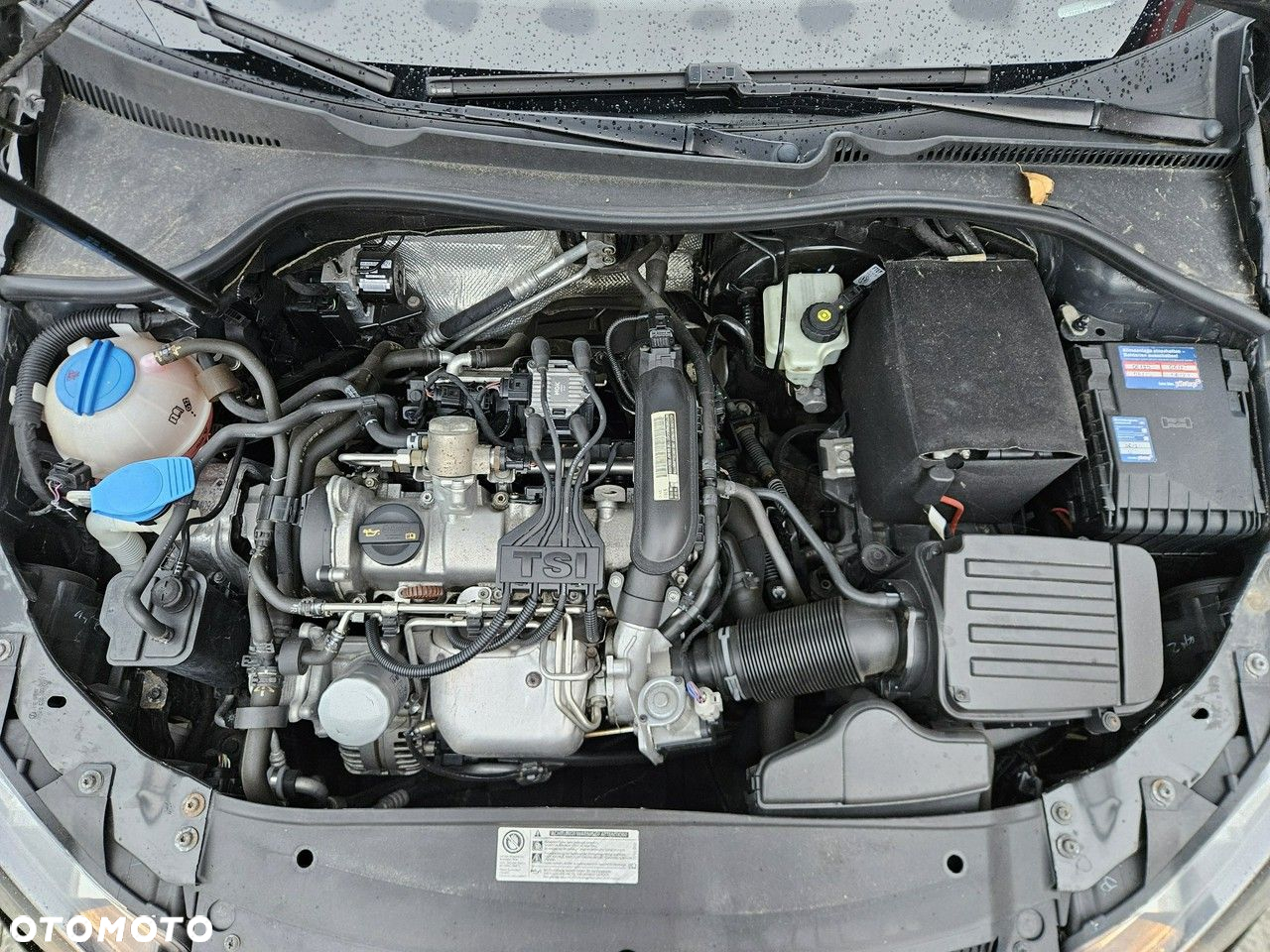 Volkswagen Golf - 31