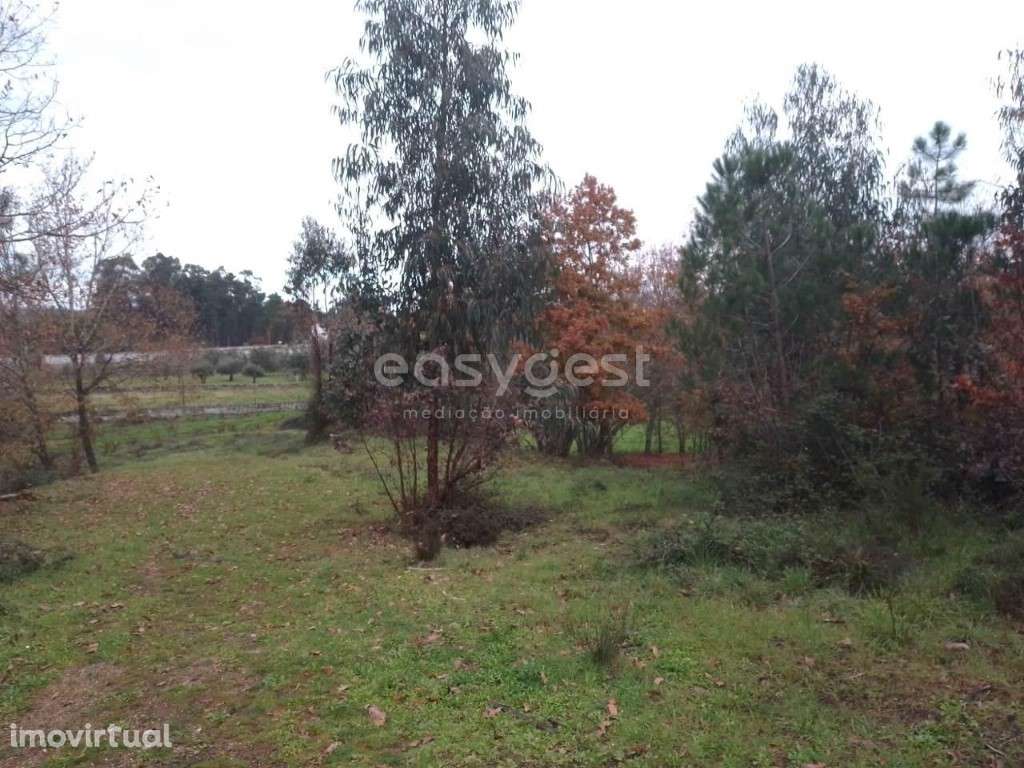 Terreno para construção, localizado em Canas de Santa Maria, Tondela - Grande imagem: 4/16