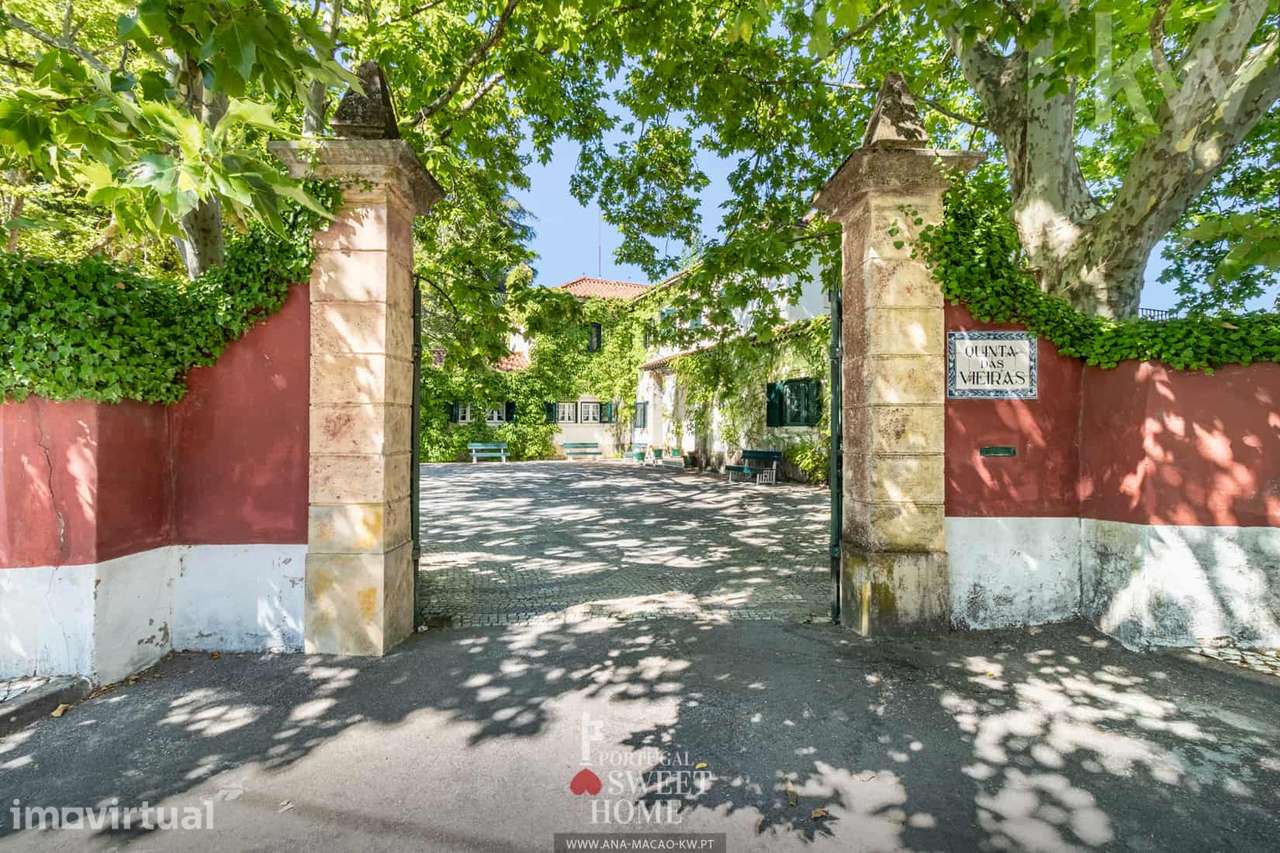 Herdade com 4,5 ha, Casa T6 c/piscina, garagem no centro Torres novas - Grande imagem: 4/60