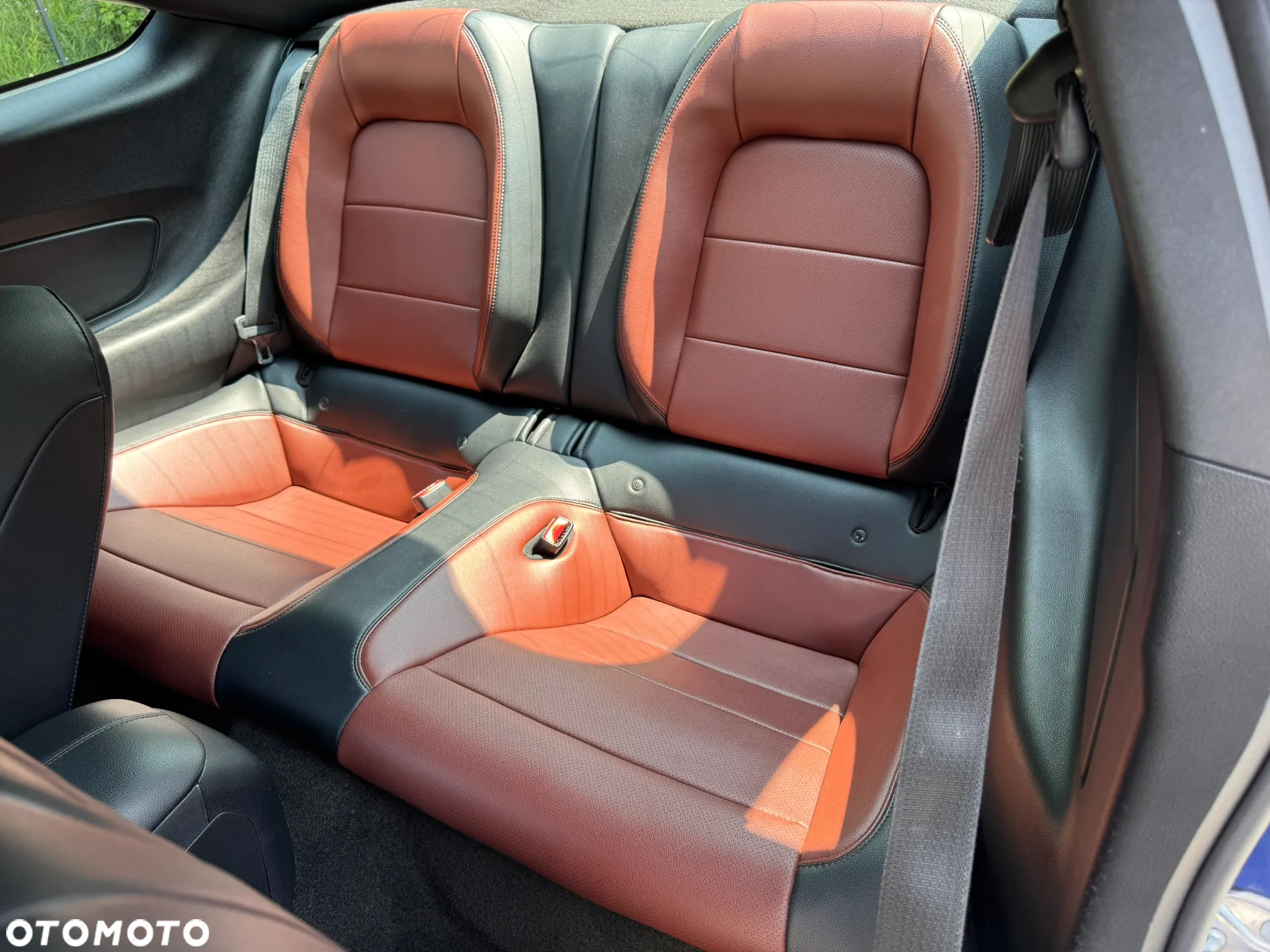 Ford Mustang 2.3 EcoBoost - 12