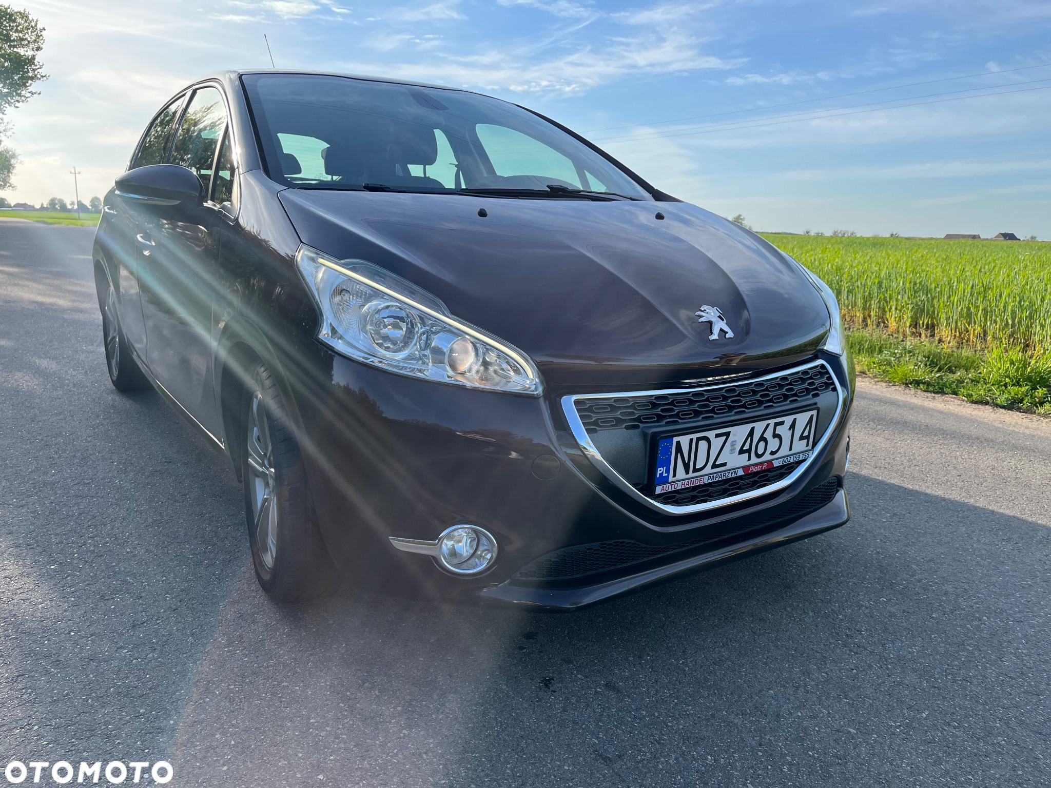 Peugeot 208 - 9