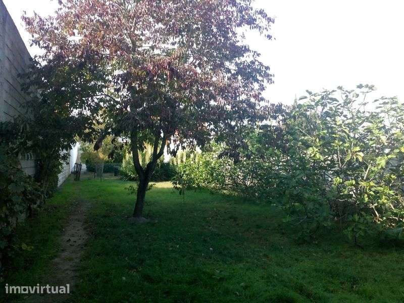 QUINTA Situada a 1800 M  da CIDADE de PONTE de SOR - Grande imagem: 4/9