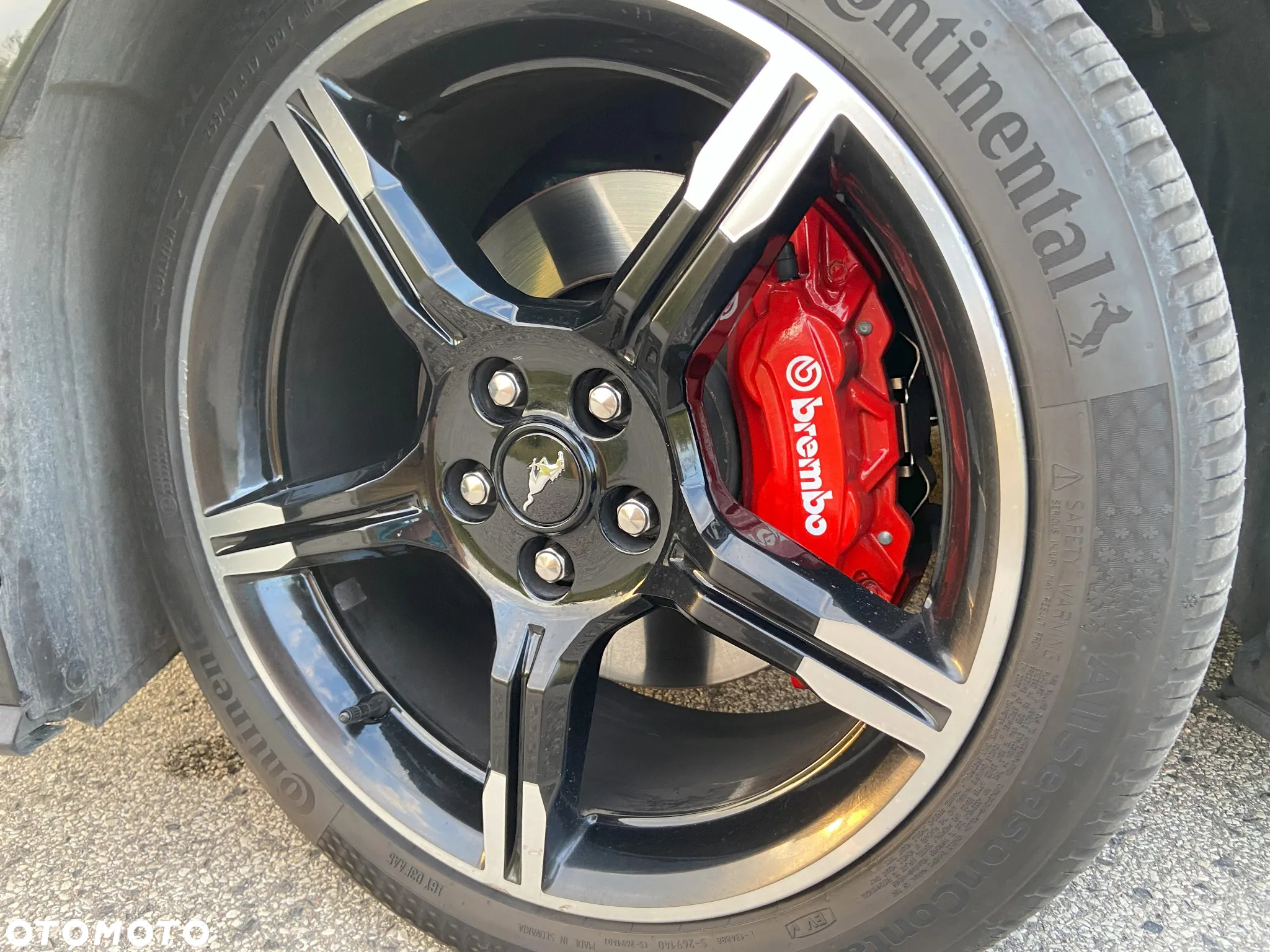 Ford Mustang Fastback 5.0 Ti-VCT V8 GT - 9
