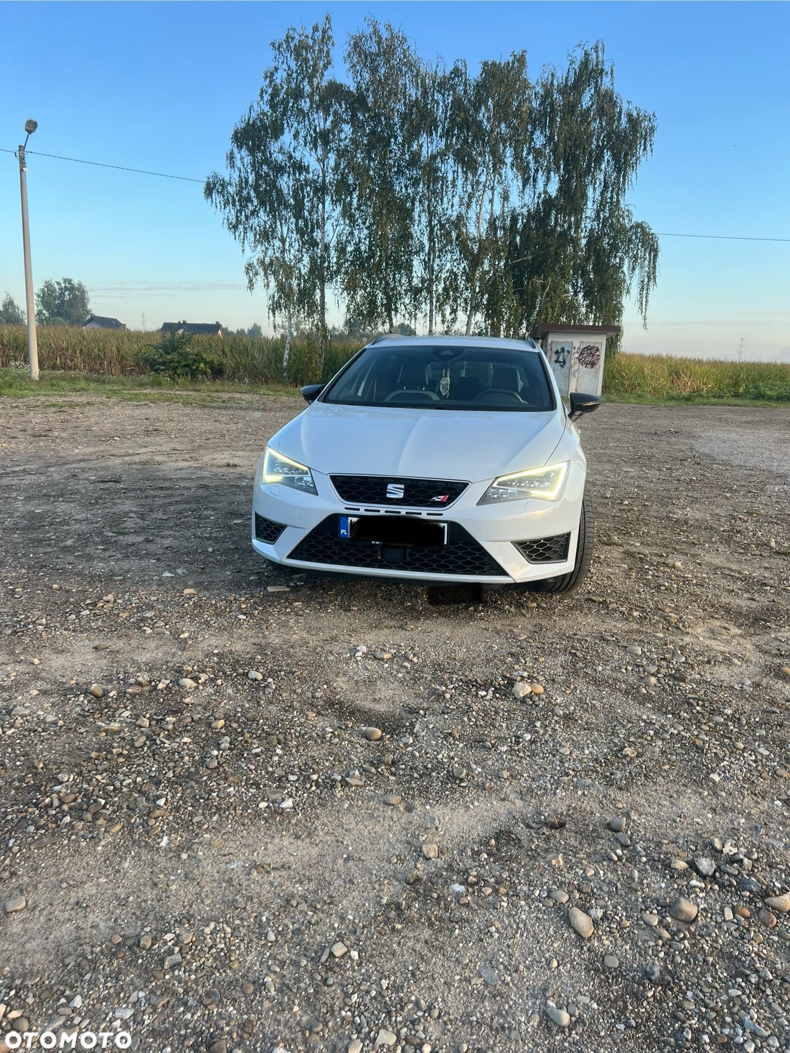 Seat Leon 2.0 TSI Cupra 290 S&S DSG - 1