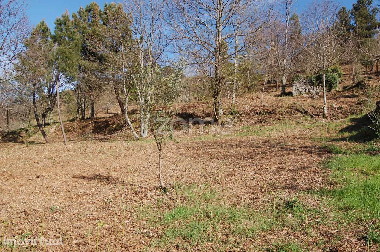 Terreno em Cabritos - Grande imagem: 3/22