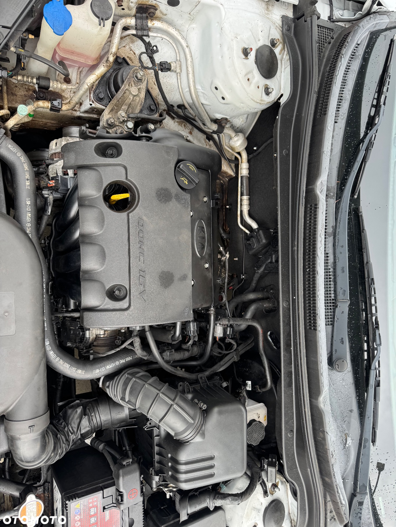 Kia Ceed 1.4 CVVT Attract - 24