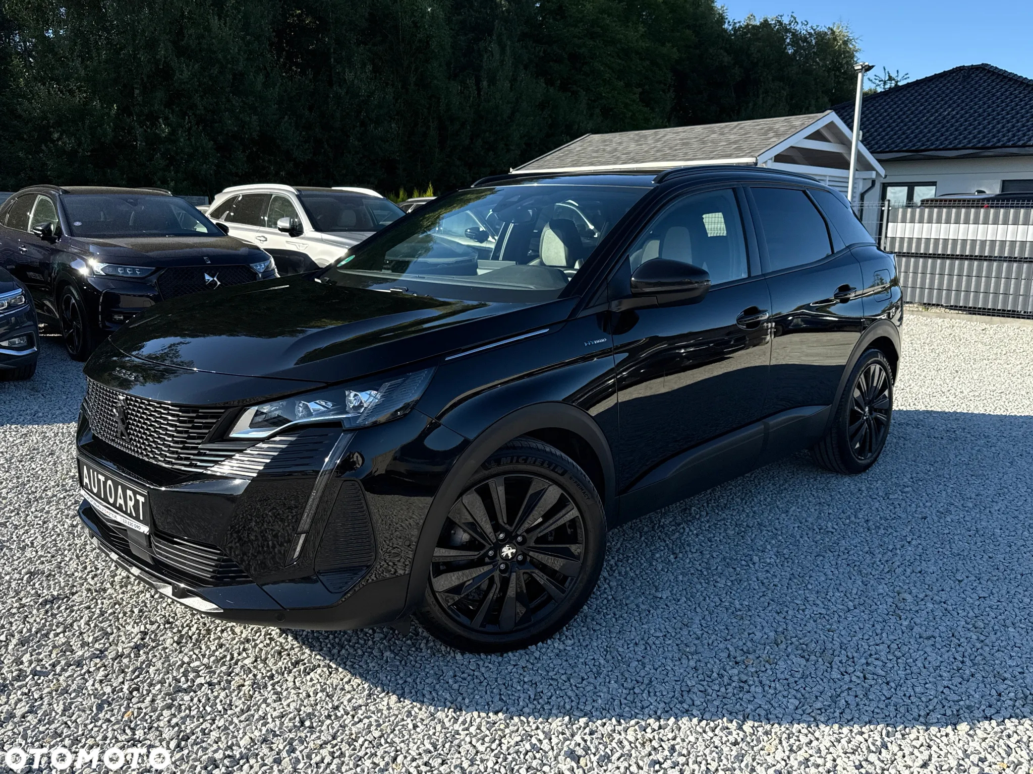 Peugeot 3008 - 6