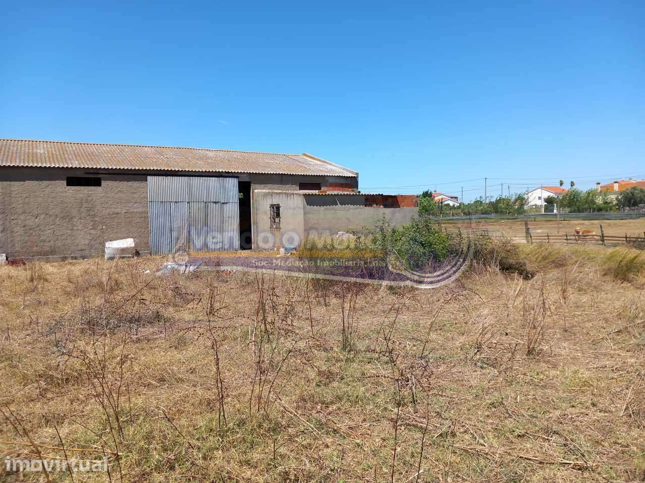 Terreno na Coutada Velha (B547) - Grande imagem: 5/11