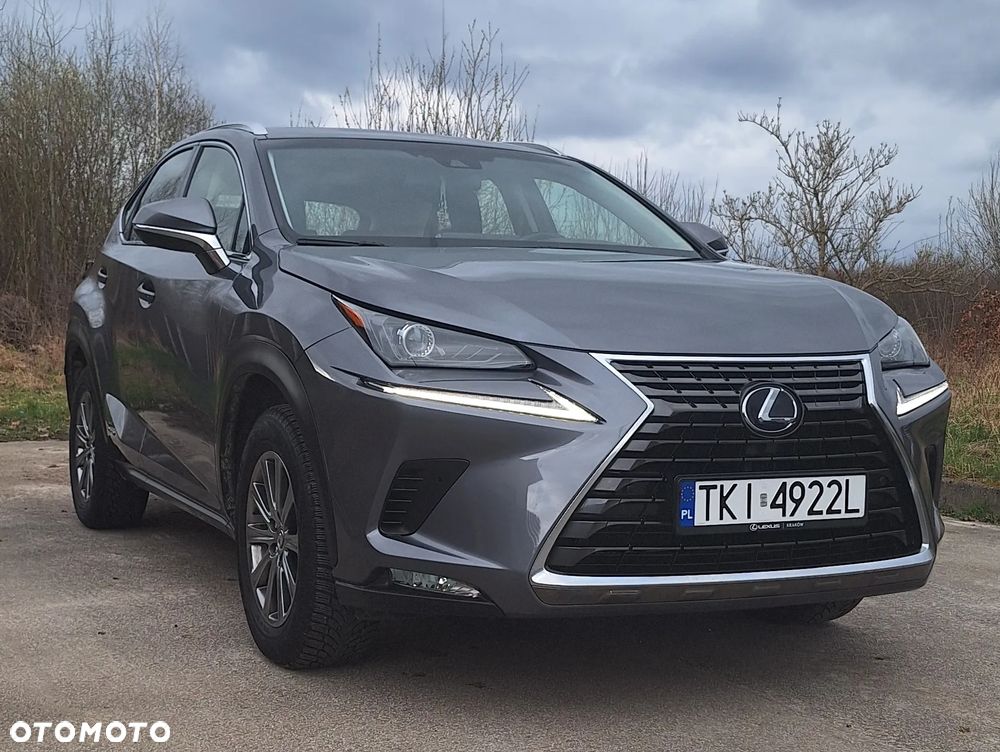 Lexus NX - 4
