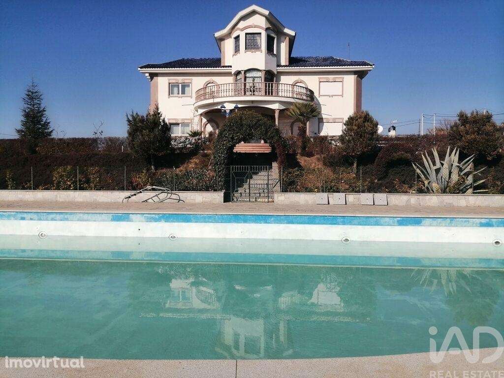 Quinta T9 em Mirandela de 1021,00 m2 - Grande imagem: 4/23