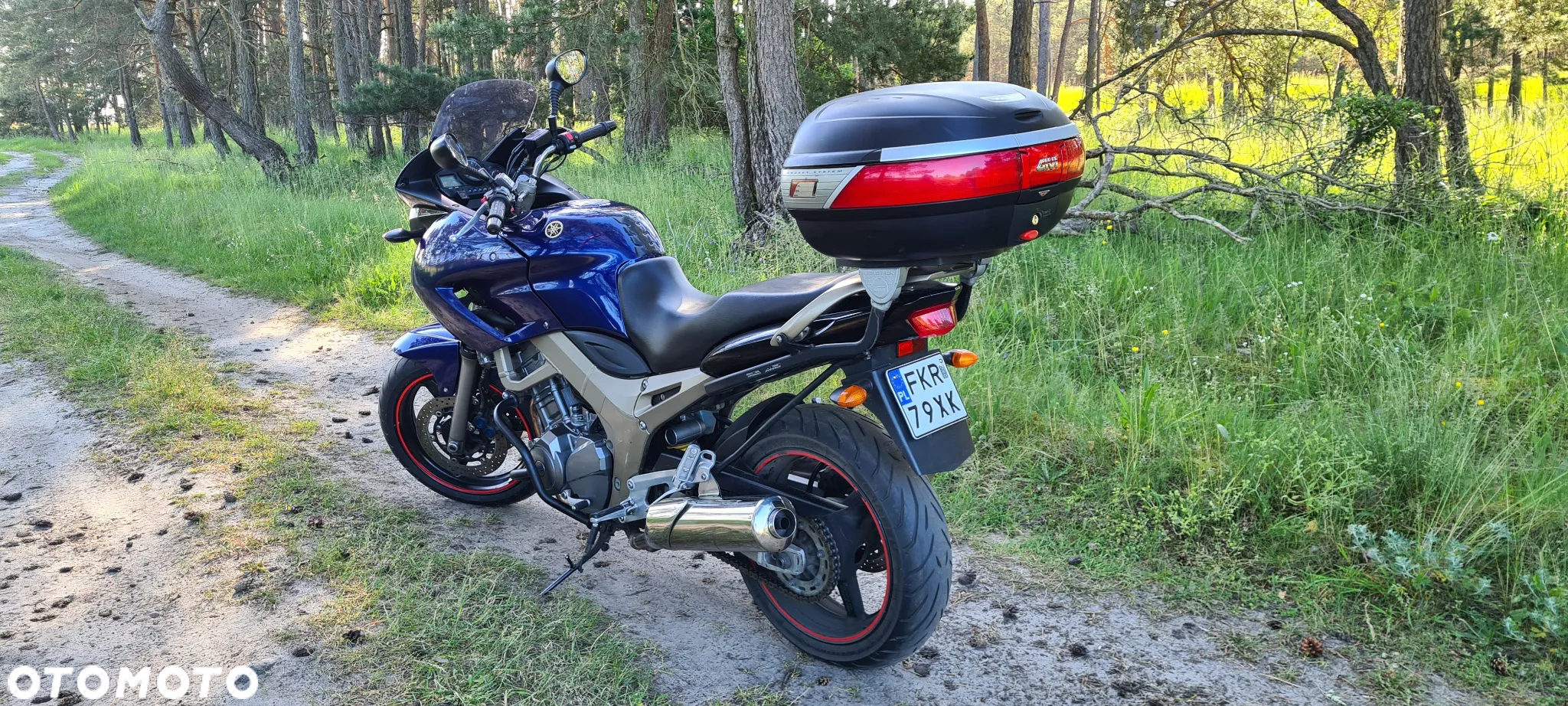 Yamaha TDM - 13