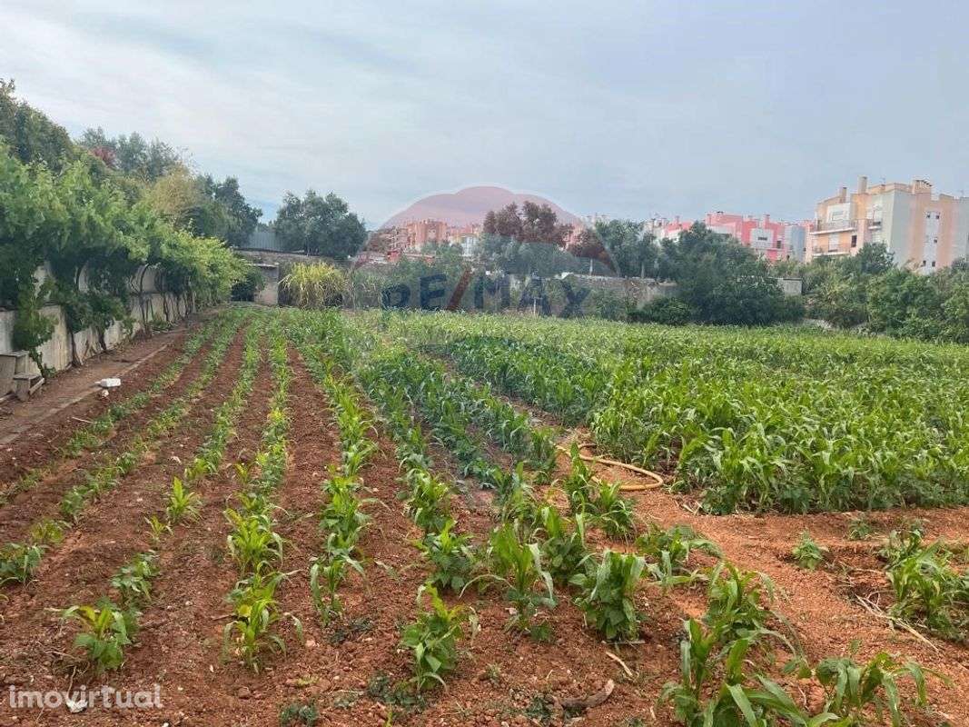 Terreno  para venda - Grande imagem: 5/16