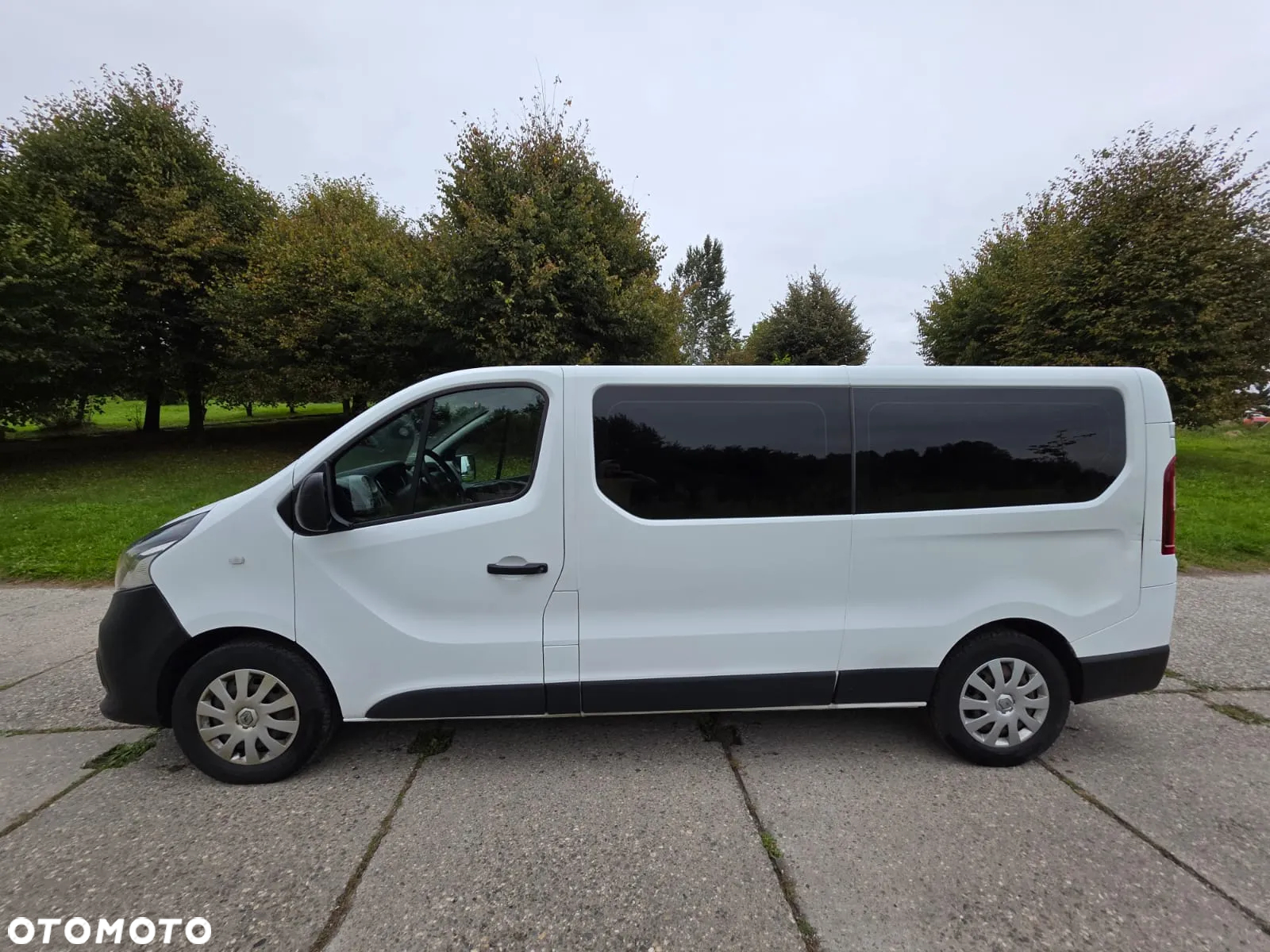 Renault Trafic - 4