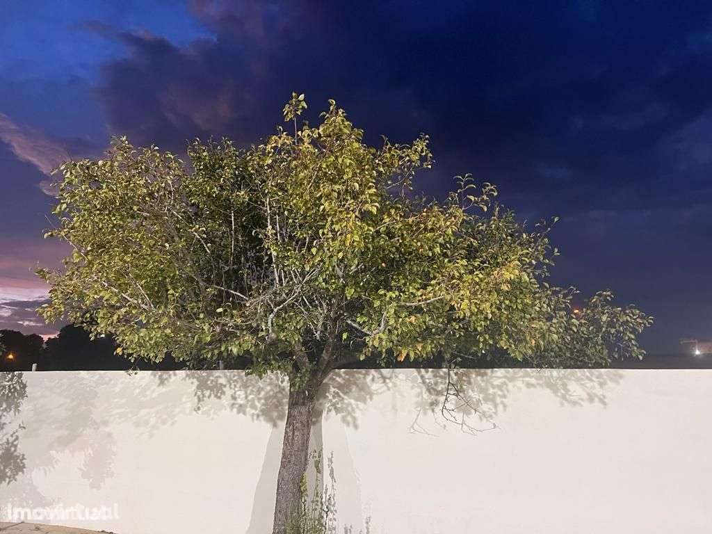 Arrenda-se Suites em Estarreja - Grande imagem: 5/24