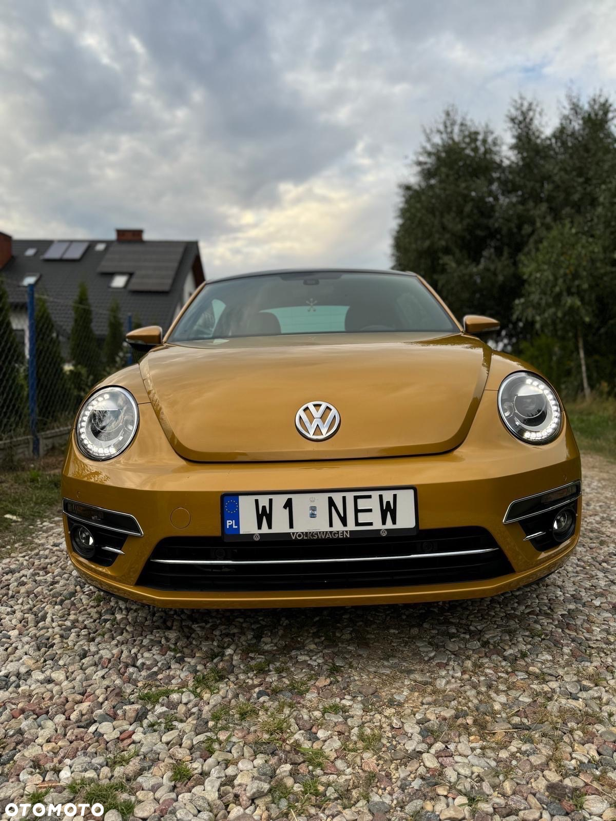 Volkswagen Beetle - 2
