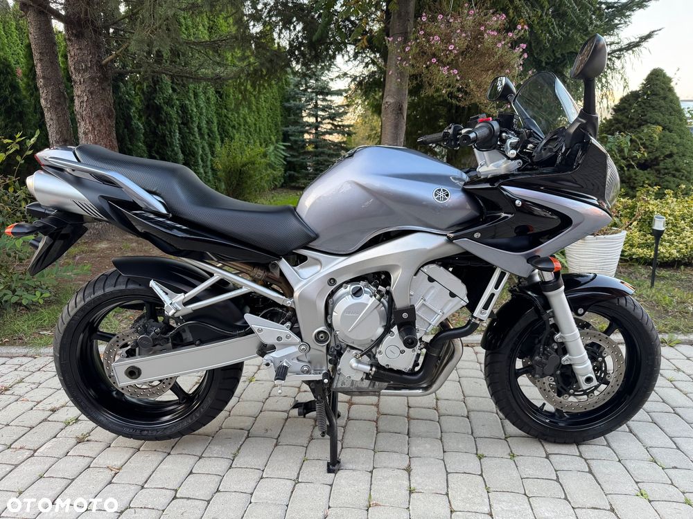 Yamaha FZ6 - 3