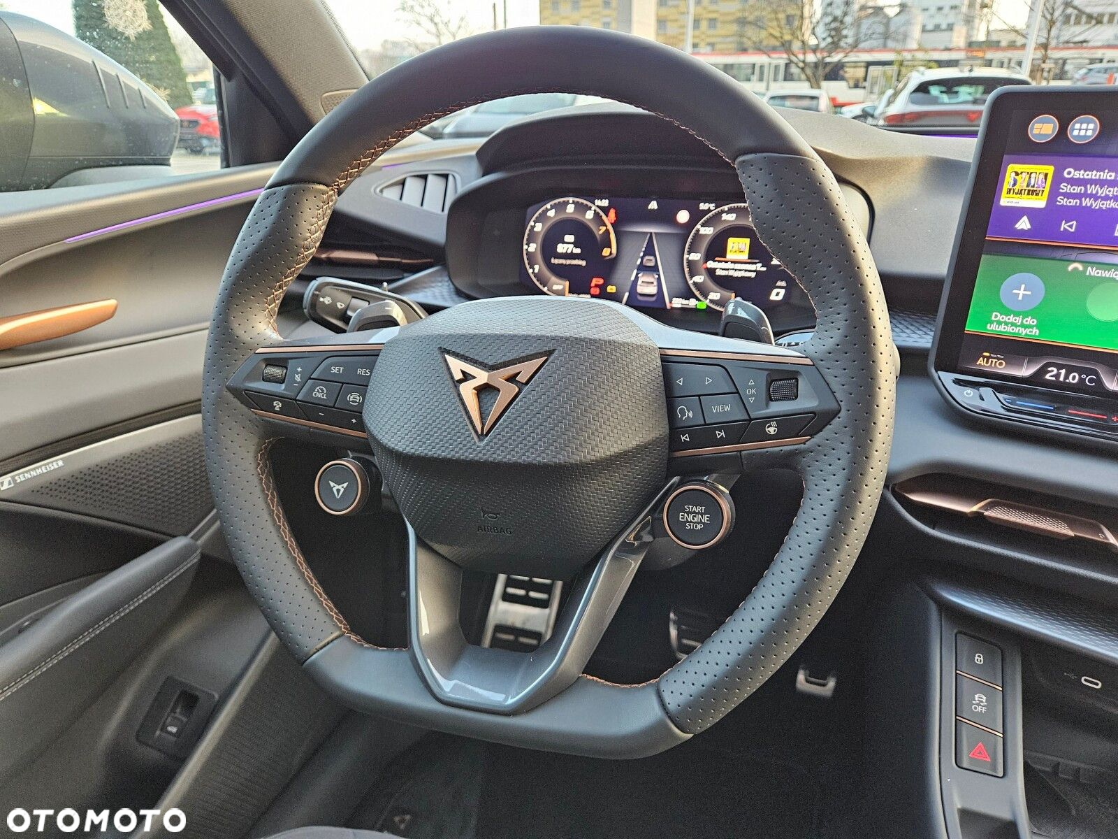 Cupra Terramar - 13