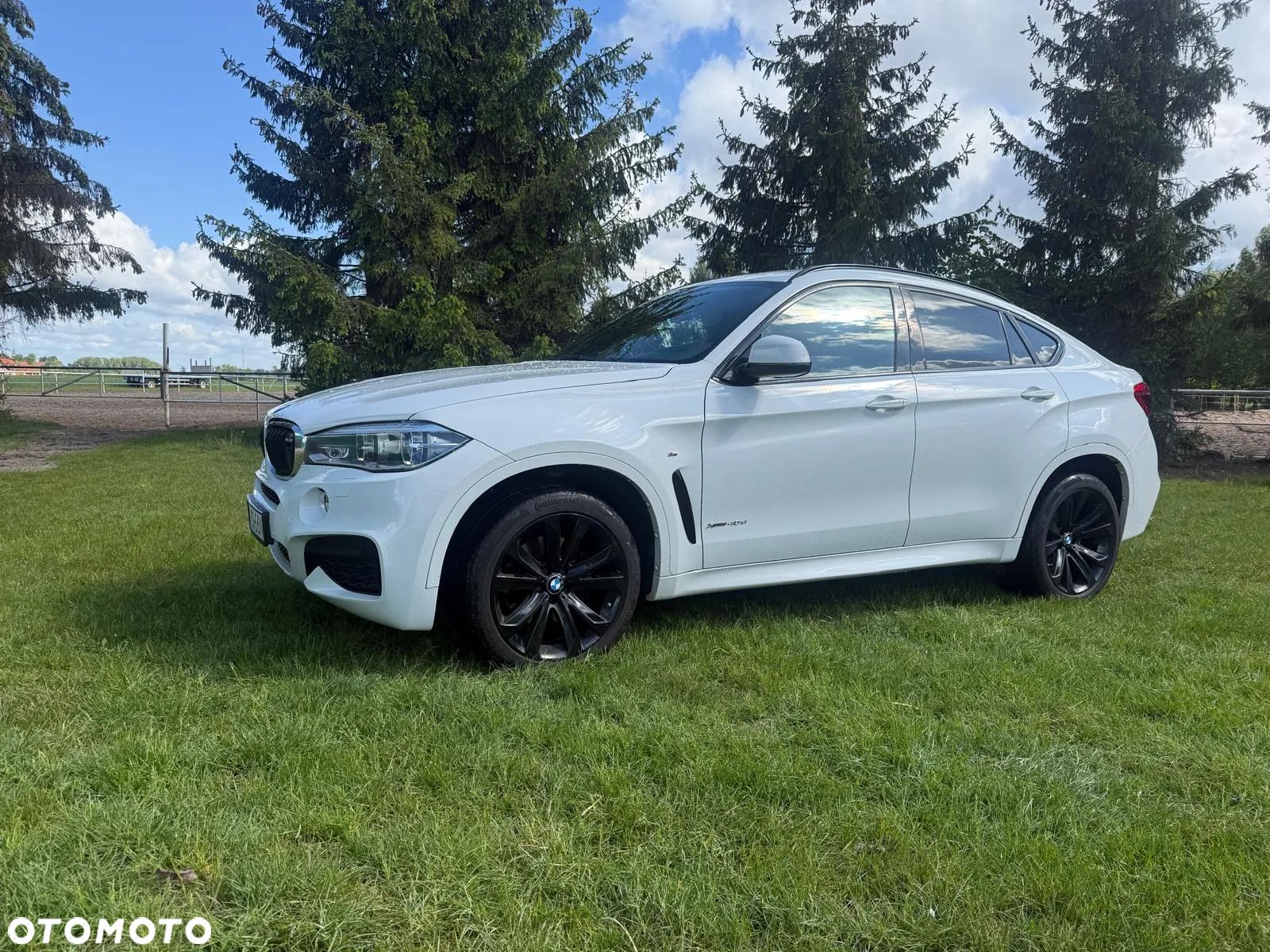 BMW X6 xDrive40d - 1