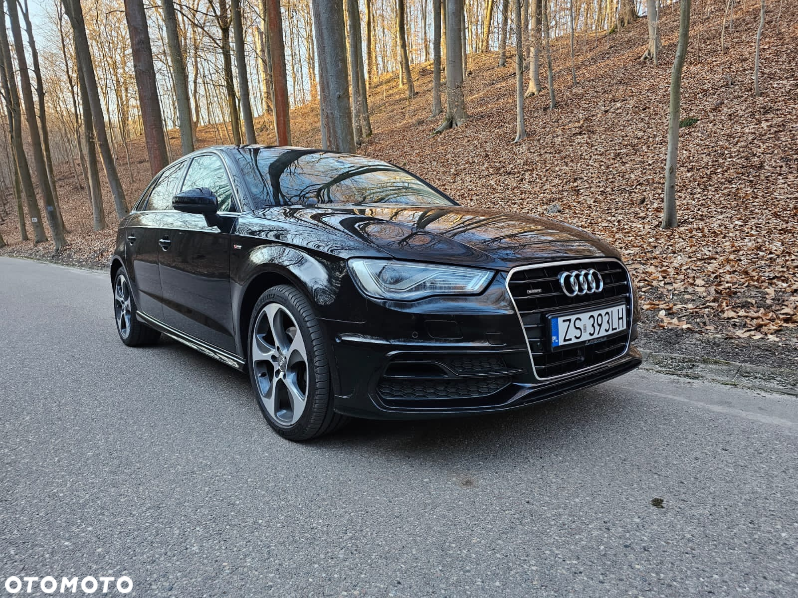 Audi A3 2.0 TDI clean diesel Quattro Ambition - 3