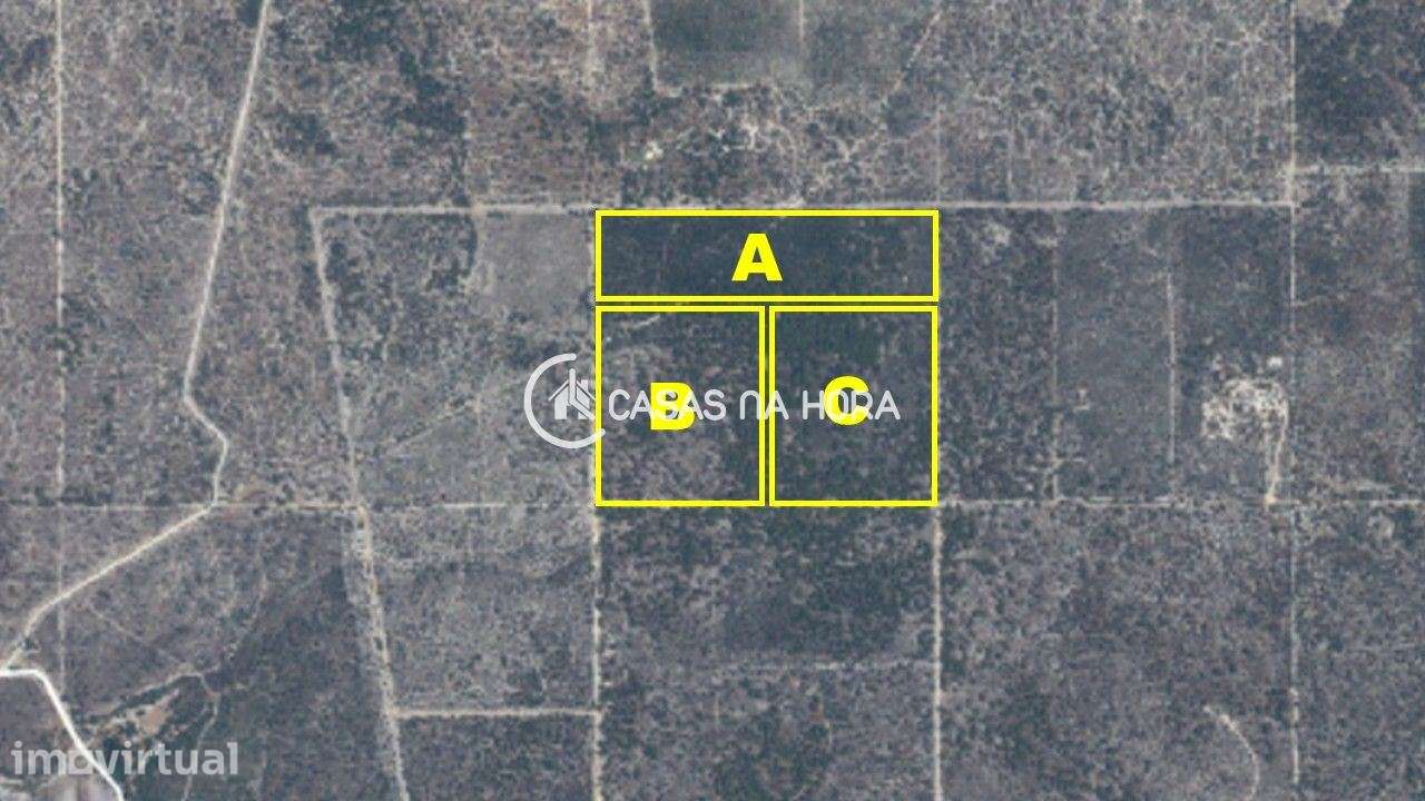 Lote de terreno junto ao Carvalhal, freguesia da Comporta - Grande imagem: 5/20